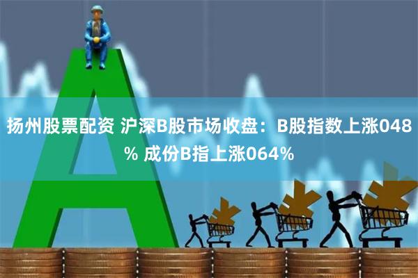 扬州股票配资 沪深B股市场收盘：B股指数上涨048% 成份B指上涨064%