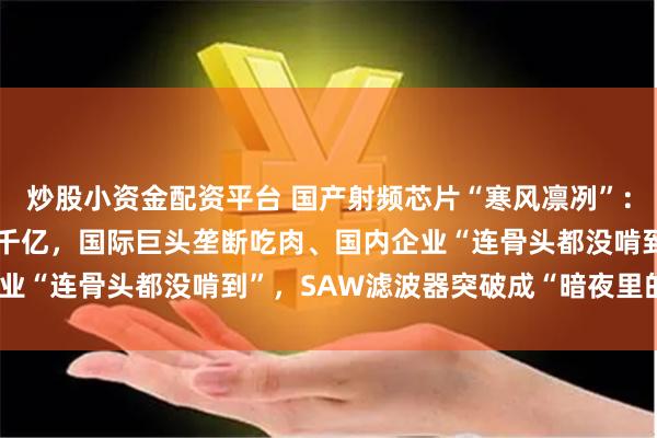 炒股小资金配资平台 国产射频芯片“寒风凛冽”：40倍牛股总市值蒸发上千亿，国际巨头垄断吃肉、国内企业“连骨头都没啃到”，SAW滤波器突破成“暗夜里的微光”