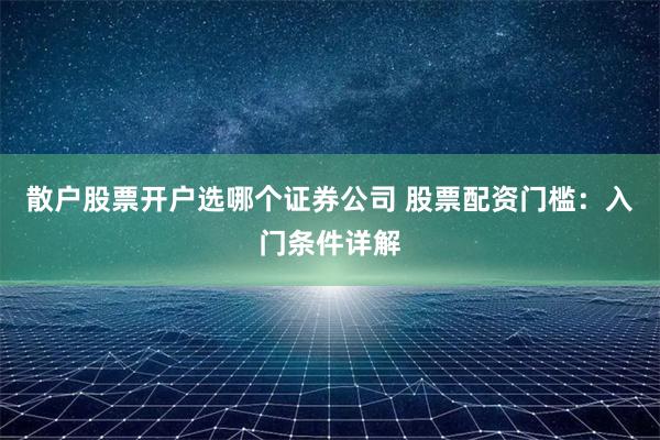 散户股票开户选哪个证券公司 股票配资门槛：入门条件详解